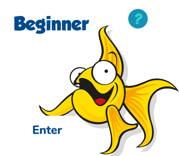 Beginner Section