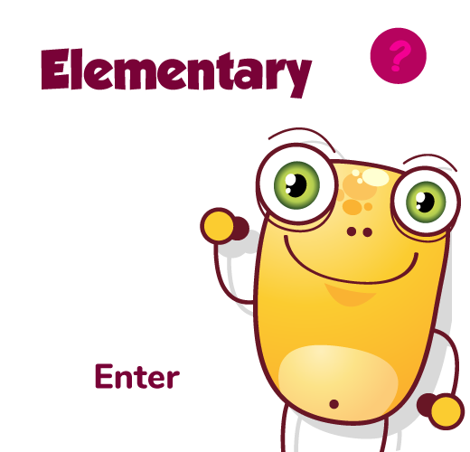 Elementary Section